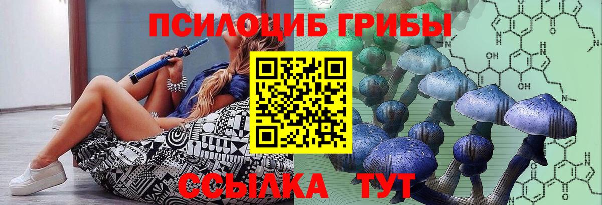 Егорьевск  Галлюциногенные грибы GOLDEN TEACHER  Вход с VPN  Псилоцибиновые грибы ЛСД 